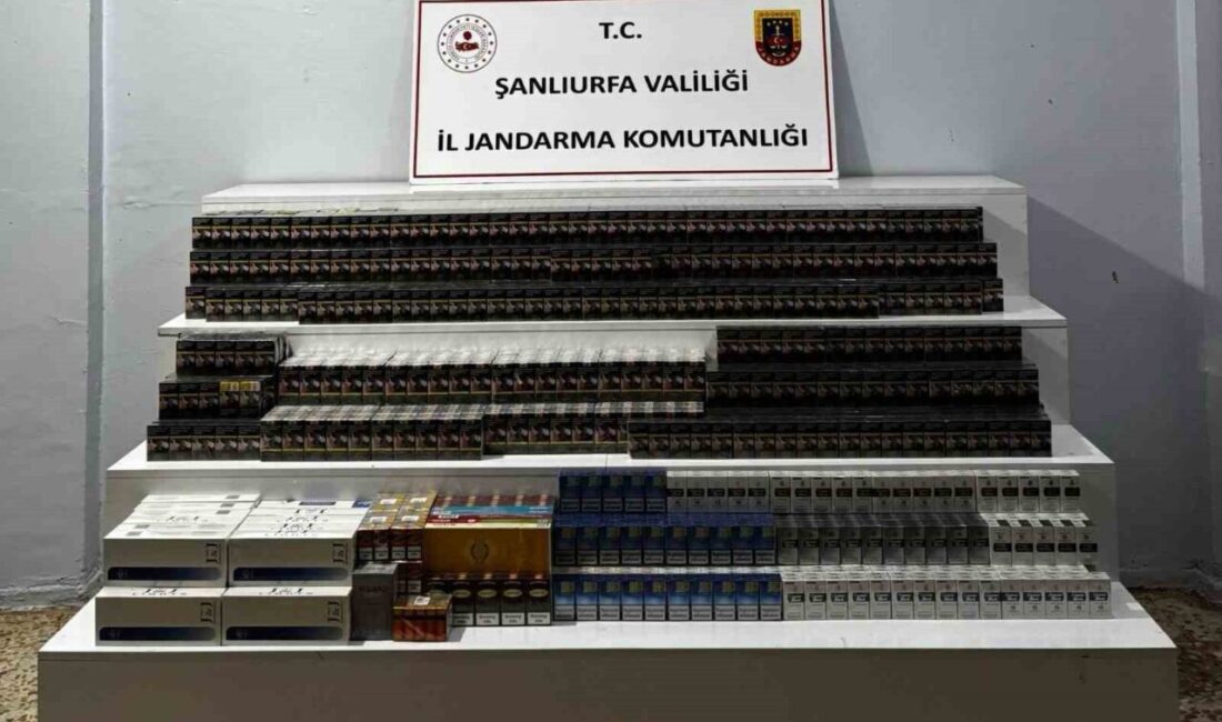 Viranşehir ilçesinde jandarma ekipleri tarafından yapılan kontrollerde gümrük kaçağı sigaralar