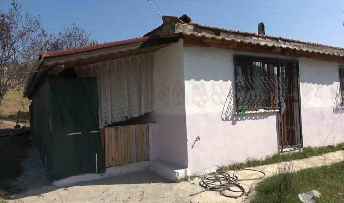 Yalova’da yaşanan acı olayla ilgili gelişmeler devam ediyor. 2018 yılında