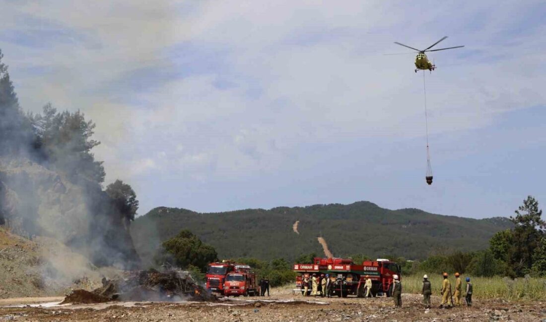 Muğla’da, AFAD ve Orman Bölge Müdürlüğü iş birliğiyle orman yangınlarına