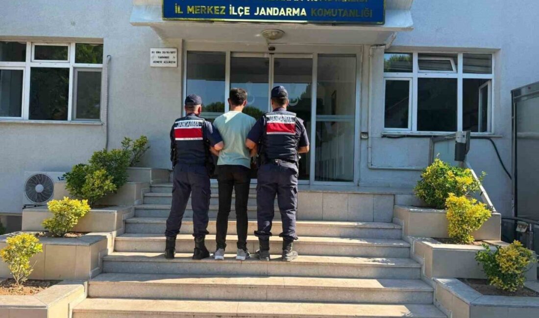 Çanakkale’de, Kızılkeçili köyünde bir tarım arazisinde çıkan yangın, hava ve