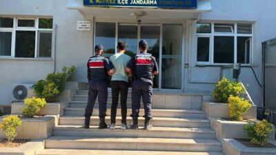Çanakkale’de, Kızılkeçili köyünde bir tarım arazisinde çıkan yangın, hava ve