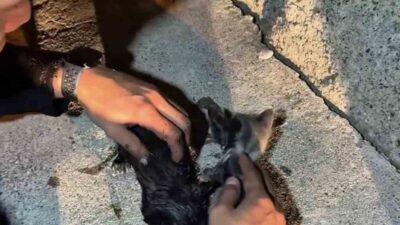 Çankırı’da gece saatlerinde Karatekin Mahallesi’nde meydana gelen yangında içeride mahsur