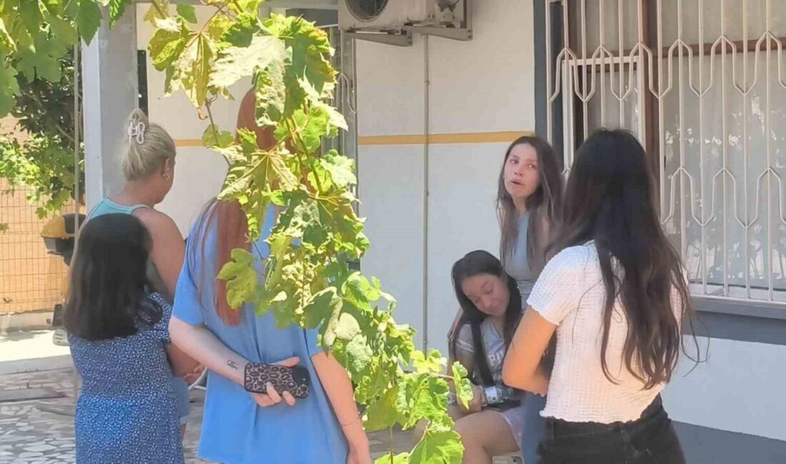 Antalya’da bir apartman dairesinde meydana gelen mutfak yangını paniğe neden