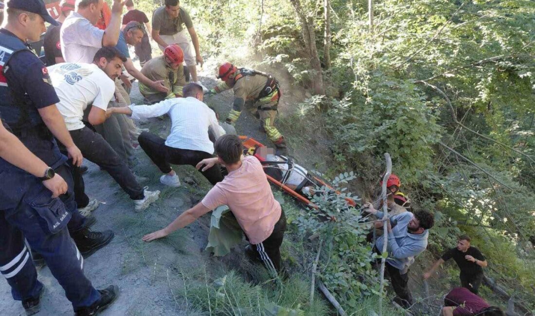 Düzce’nin Uğur köyü Oda Yeri Yaylası yolunda meydana gelen kazada