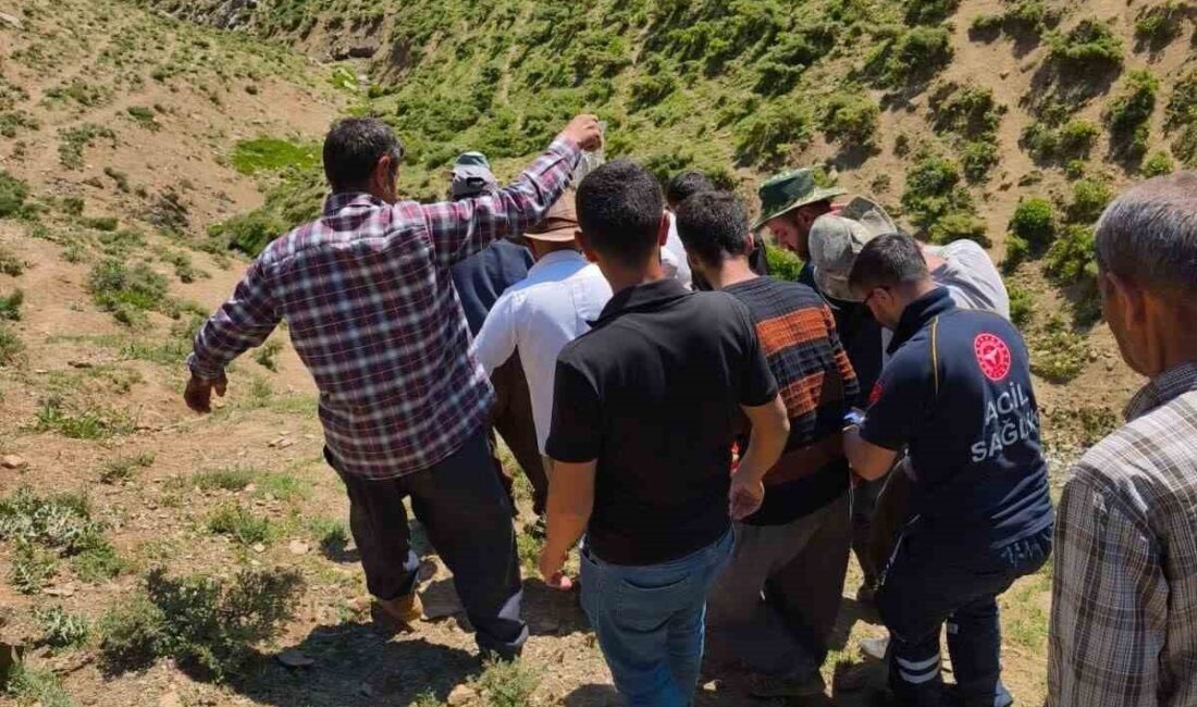 Hakkari’nin Yüksekova ilçesinde bir çoban, Adaklı köyündeki yaylada rahatsızlanarak sağlık