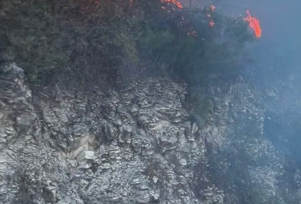 Hatay’ın Yayladağı ilçesinde Kışlak Mahallesi’nde meydana gelen orman yangını, yetkililerin