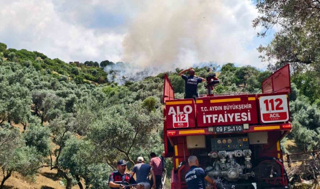 Aydın’ın Yenipazar ilçesindeki makilik alanda çıkan yangın, zirai alanları tehdit
