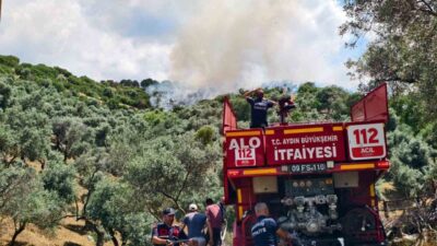Aydın’ın Yenipazar ilçesindeki makilik alanda çıkan yangın, zirai alanları tehdit