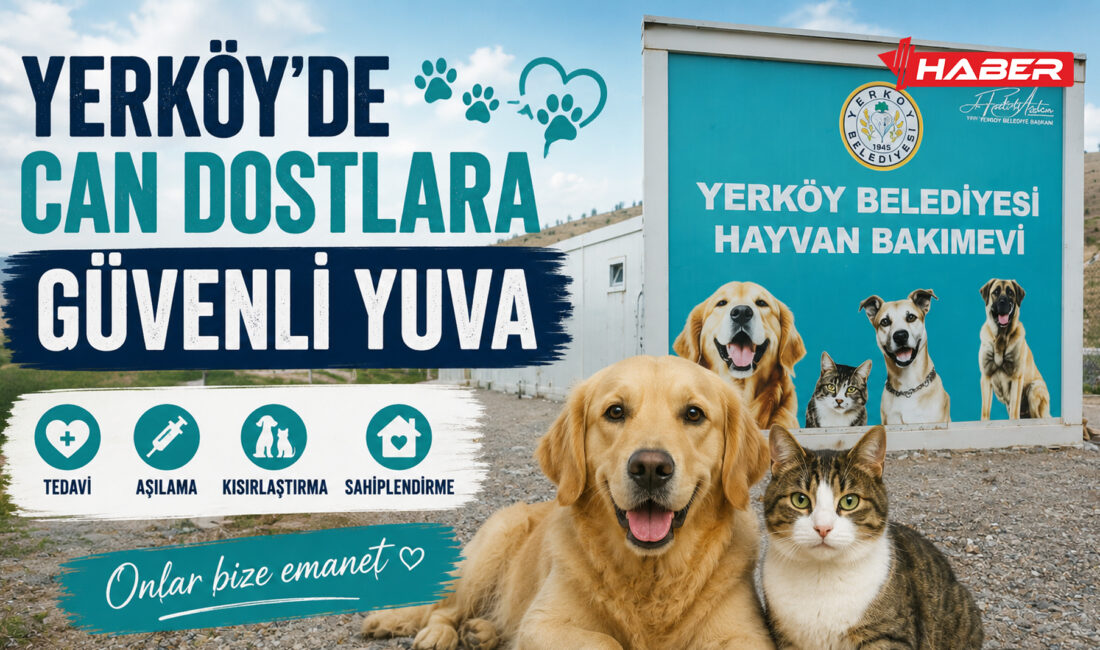 Yozgat’ta sahipsiz hayvanların korunması, tedavi edilmesi ve güvenli alanlarda yaşamlarını