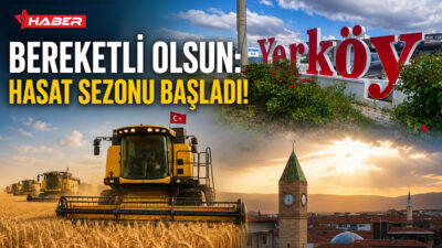 Yozgat genelinde tarım üreticilerinin merakla beklediği hububat hasat dönemi, Yerköy