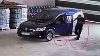 Samandağ ilçesinde bir hafif ticari araca giren bir yılanın sürücüyü