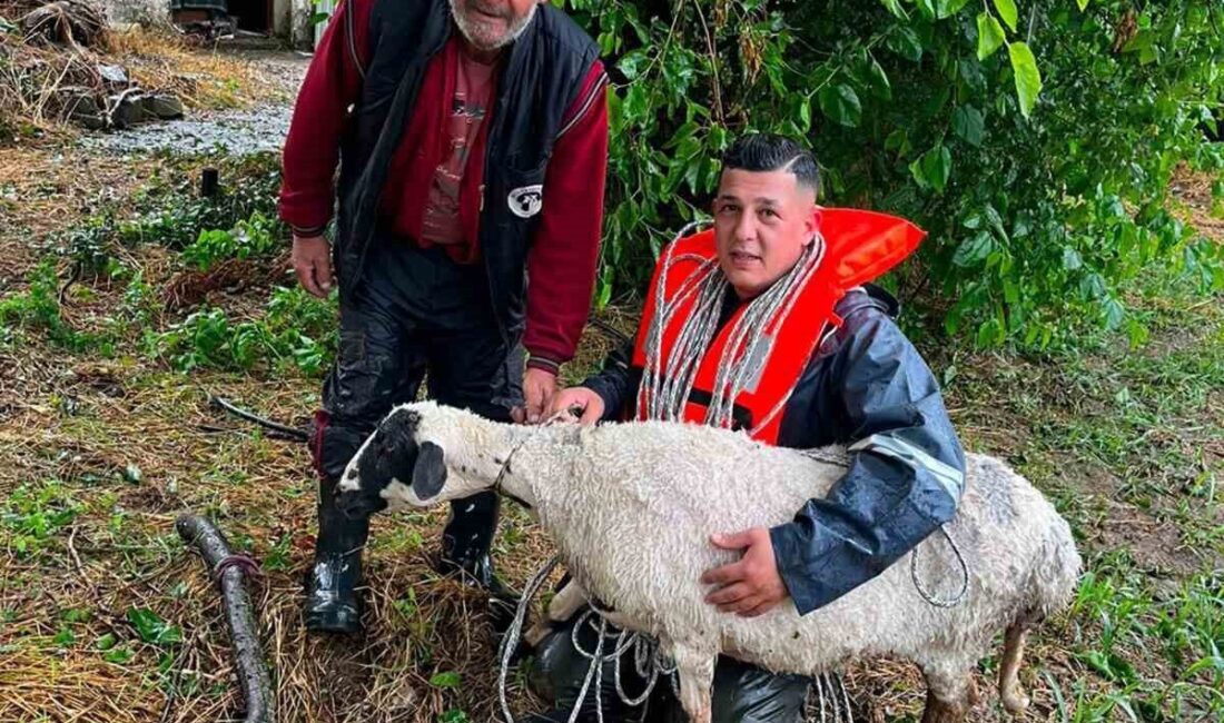 Menteşe ilçesinde akşam saatlerinde etkili olan şiddetli yağmur sonrasında Karabağlar