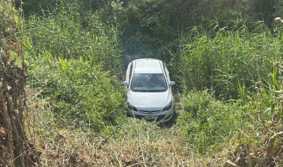 Çerkezköy ilçesinde meydana gelen trafik kazasında, bir otomobil sürücüsü kontrolünden