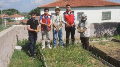 Merkez ve Boğazlıyan’da Salep Hasadı Yapıldı: İşte Yozgat İklimine En