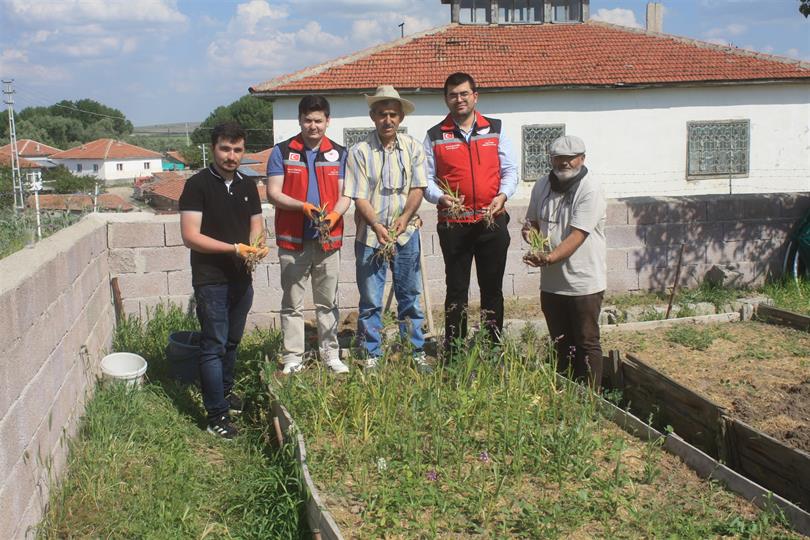 Merkez ve Boğazlıyan’da Salep Hasadı Yapıldı: İşte Yozgat İklimine En