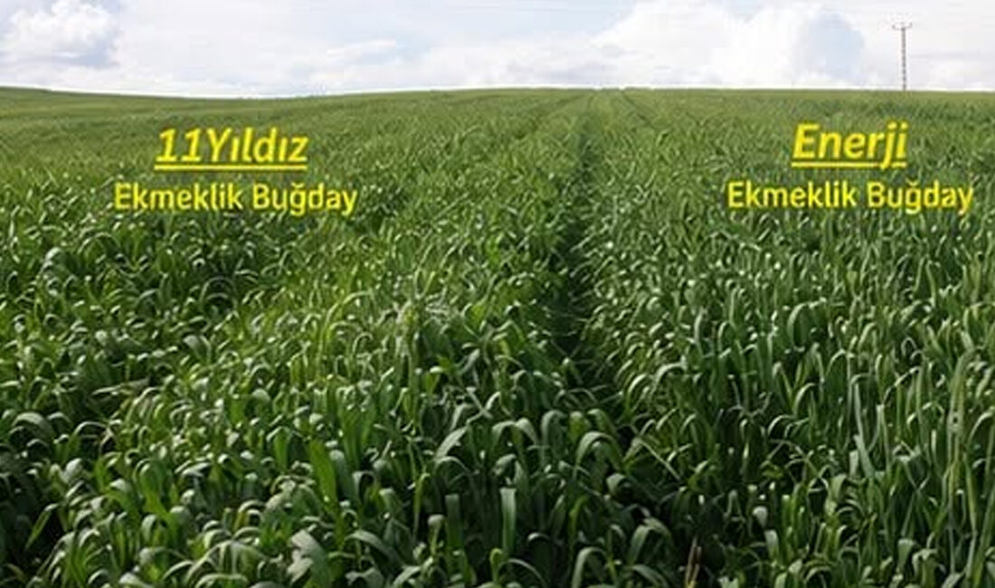 Yozgat İl Tarım ve Orman Müdürlüğü, tarımsal verimliliği artırmak ve