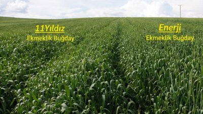 Yozgat İl Tarım ve Orman Müdürlüğü, tarımsal verimliliği artırmak ve