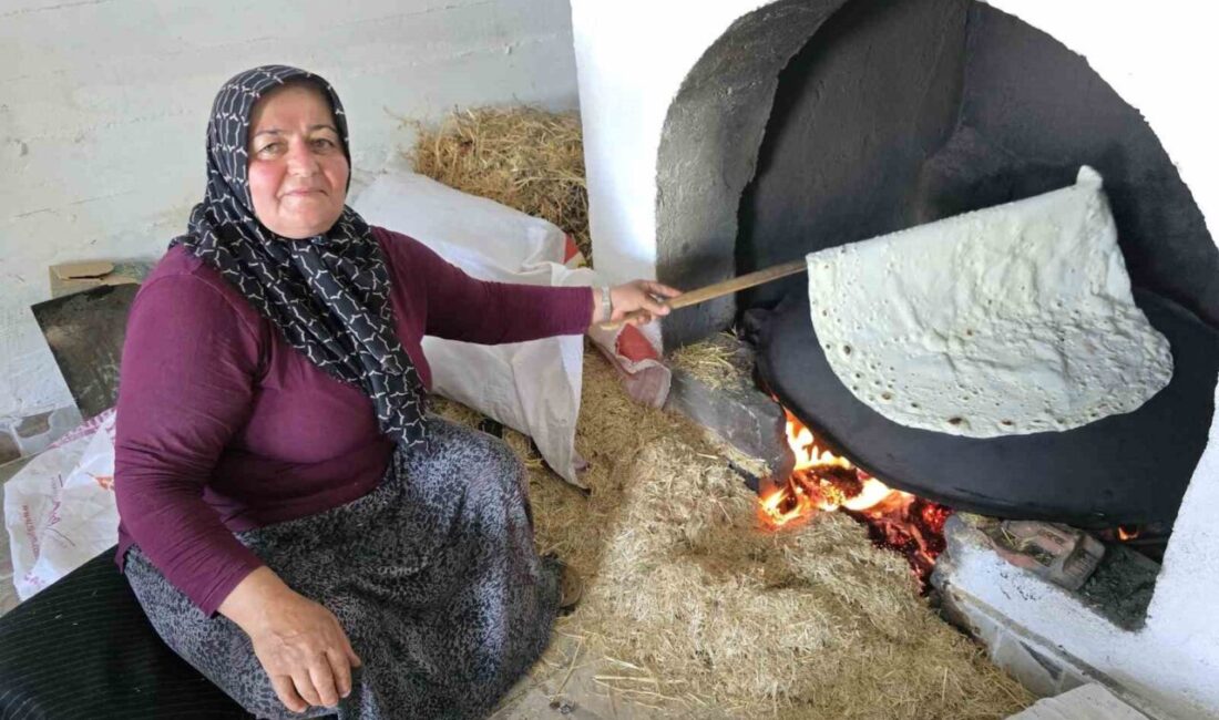 Aydıncık ilçesinde uzun yıllardır süregelen bir geleneğin, havaların ısınmasıyla tekrar