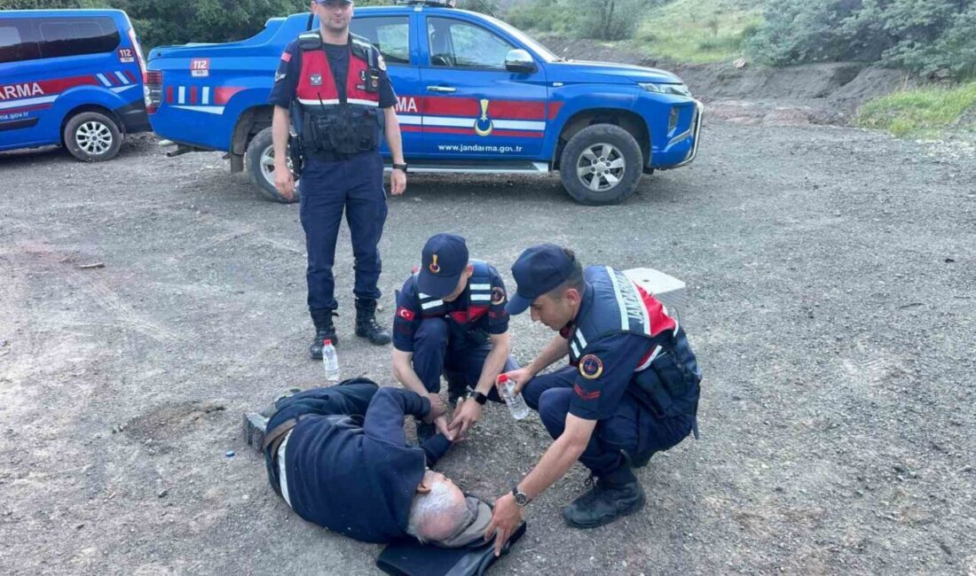 Yozgat’ta yaşlı bir adamın kaybolmasıyla ilgili taşra haberine göre, Y.T.