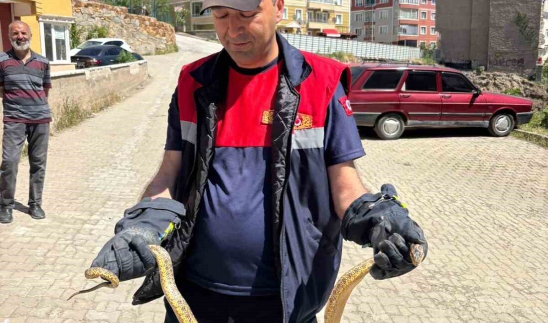 Yozgat’ta, Aşağınohutlu Mahallesi Ülkü 1 Sokak’ta park edilmiş olan bir