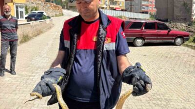 Yozgat’ta, Aşağınohutlu Mahallesi Ülkü 1 Sokak’ta park edilmiş olan bir