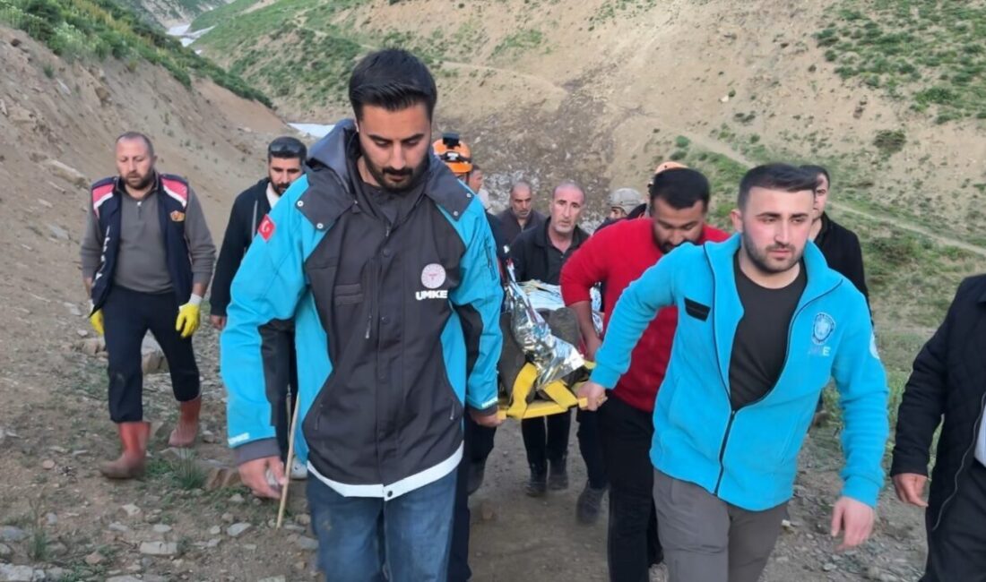Hakkari’nin Yüksekova ilçesinde sarp kayalıkların bulunduğu bir alanda ot toplarken