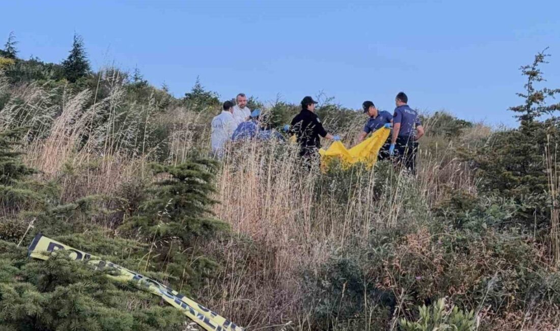 Kocaeli’de, Hürriyet Mahallesi’ndeki yürüyüş alanında hareketsiz halde bulunan bir yaşlı