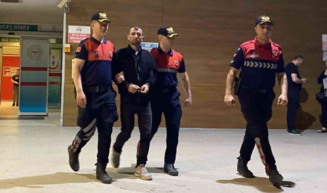 Bursa’nın İnegöl ilçesinde Jandarma ekipleri tarafından gerçekleştirilen geniş çaplı bir