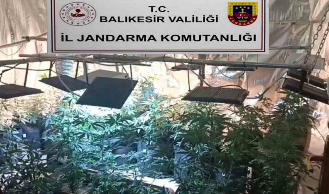 Balıkesir’de Jandarma ekipleri tarafından uyuşturucu madde üretimi ve ticaretine yönelik