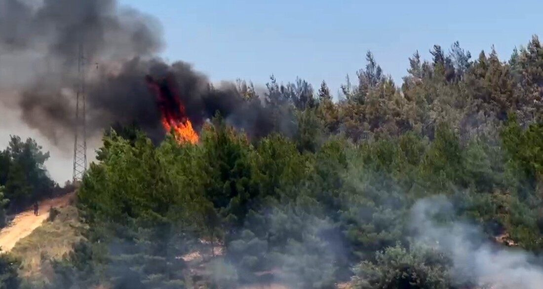 Muğla’nın Seydikemer ilçesinde tarım arazisinde başlayan ve ardından ormanlık alana