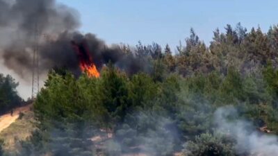 Muğla’nın Seydikemer ilçesinde tarım arazisinde başlayan ve ardından ormanlık alana