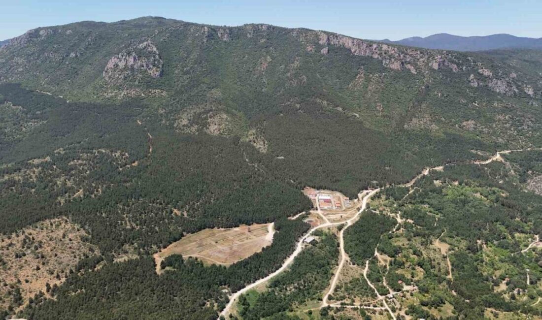 Karabük’ün Safranbolu ilçesinde, 35 gün boyunca kayıp olan 22 yaşındaki