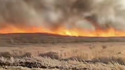 Hasat sezonuyla birlikte tarlalardan yükselen alevler bu kez Ömeruşağı köyünü