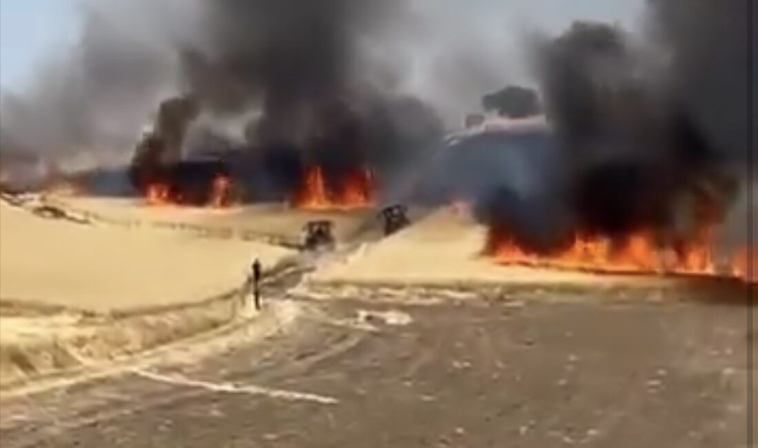 Boğazevci köyünde çıkan arazi yangınında ekili alanlar ve hasat edilmeyi