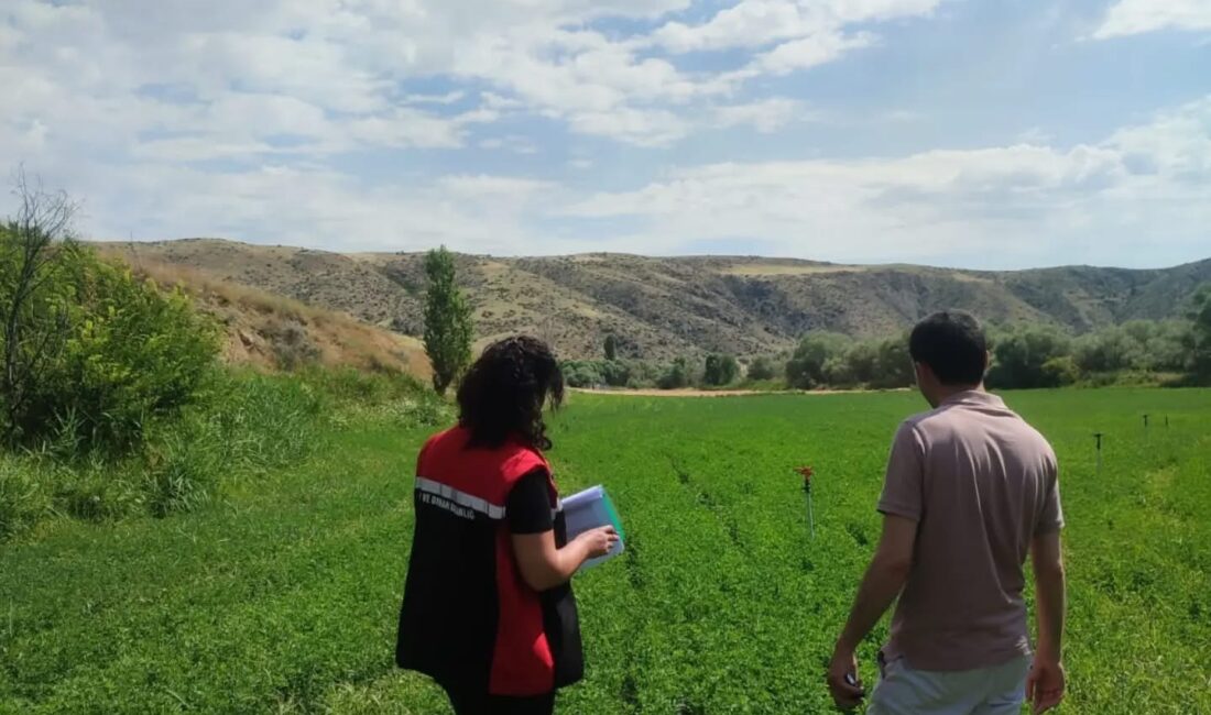 Yozgat’ın Yerköy ilçesinde, İlçe Tarım ve Orman Müdürlüğü ekipleri tarafından