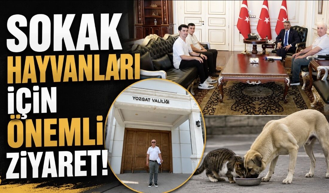 İlçe Barınaklarının Durumu ve Sıcak Havalarda Alınacak Önlemler Valilikte Masaya