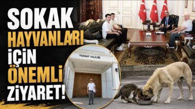 İlçe Barınaklarının Durumu ve Sıcak Havalarda Alınacak Önlemler Valilikte Masaya