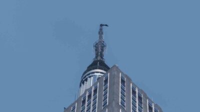 New York’ta, ABD’nin Empire State binasının 443 metre yüksekliğindeki tepesine