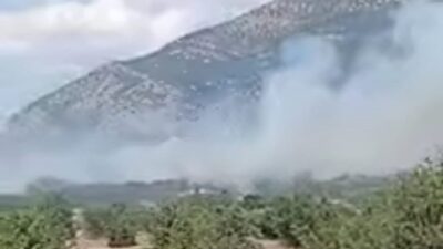 Denizli’nin Acıpayam ilçesine bağlı Kumafşarı Mahallesi’nde bir ormanlık alanda meydana