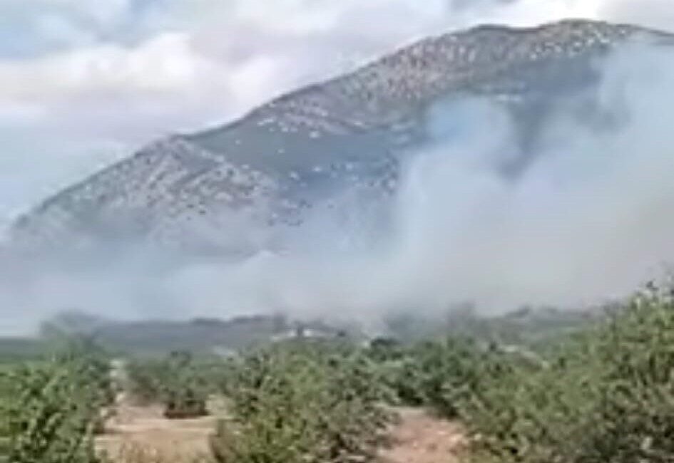 Denizli’nin Acıpayam ilçesine bağlı Kumafşarı Mahallesi’nde bir ormanlık alanda meydana