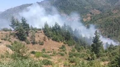 Feke ilçesine bağlı Belenköy Mahallesi Karahandere Harapseki mevkiinde ormanlık alanda