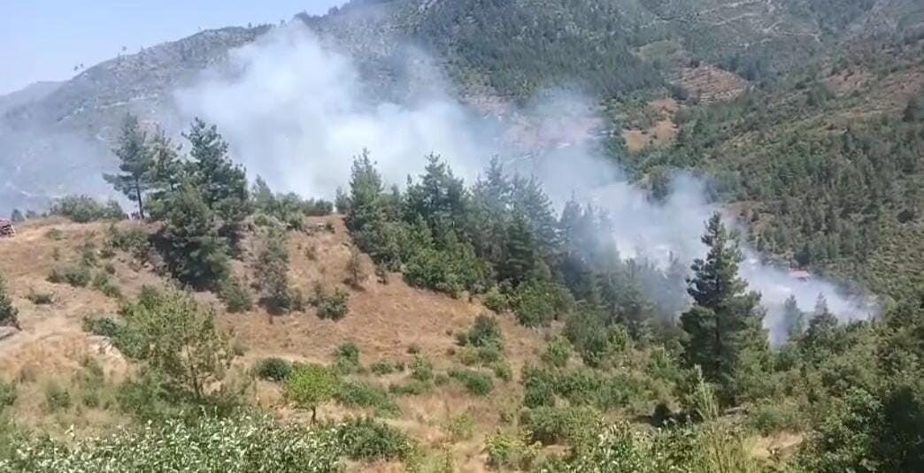 Feke ilçesine bağlı Belenköy Mahallesi Karahandere Harapseki mevkiinde ormanlık alanda
