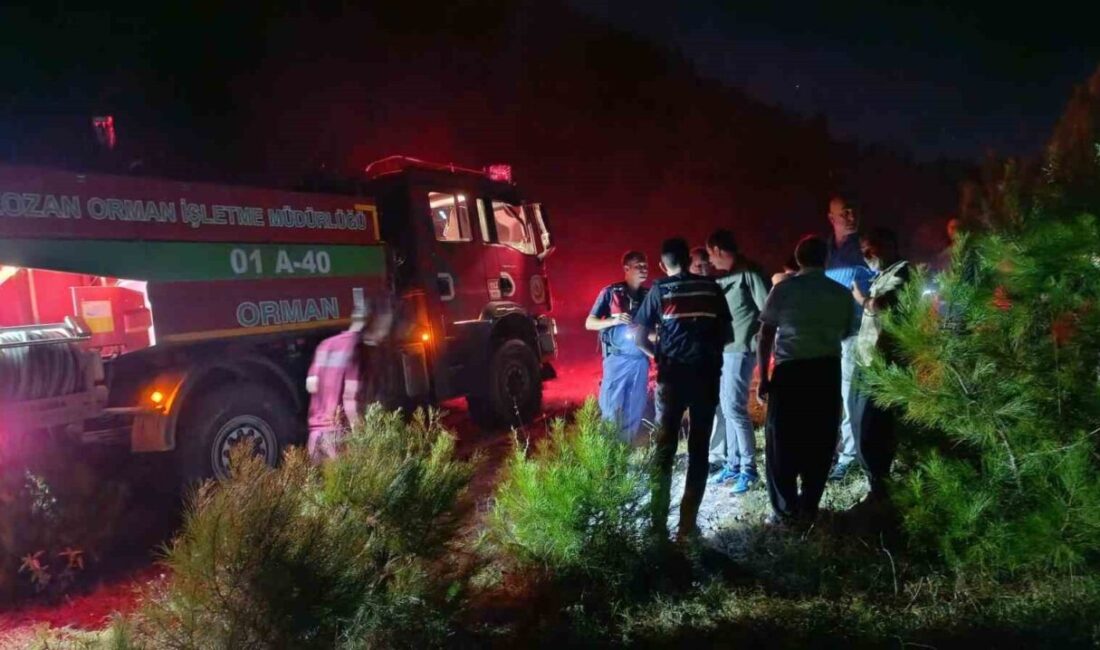 Kozan ilçesinde meydana gelen orman yangını, hava ve karadan yapılan