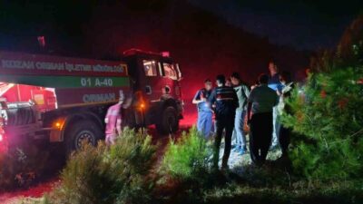 Kozan ilçesinde meydana gelen orman yangını, hava ve karadan yapılan