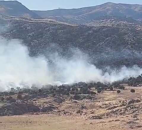 Adıyaman’ın Kuzey kısmındaki İndere (Zey) Köyü yakınlarında çıkan orman yangını,
