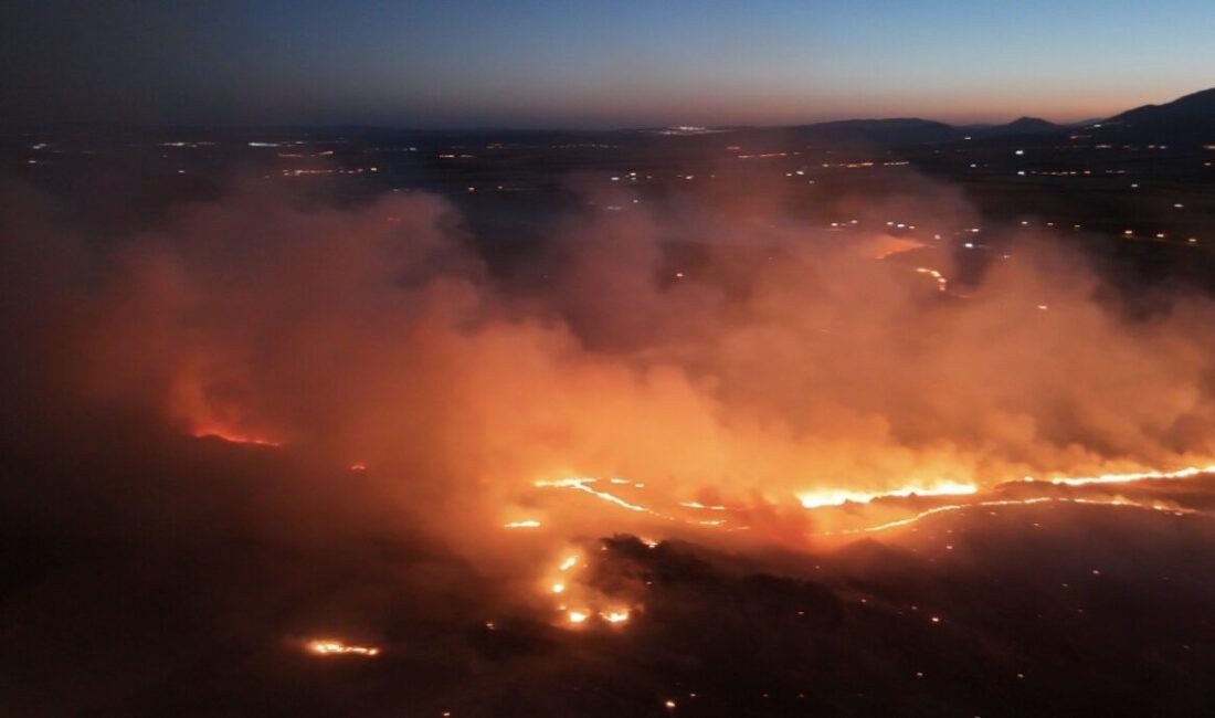 Adıyaman ilinde ormanlık alanda yangın başladı. Yangına hem havadan hem