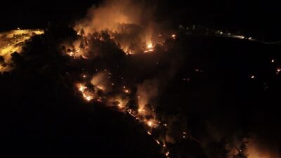 Adıyaman’da meydana gelen orman yangınıyla alakalı tutuklanan bir şüpheli hakkında