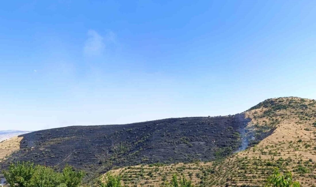 Afyonkarahisar’da Bayraktepe Mezarlığı yakınlarında başlayan ve rüzgarın etkisiyle geniş bir