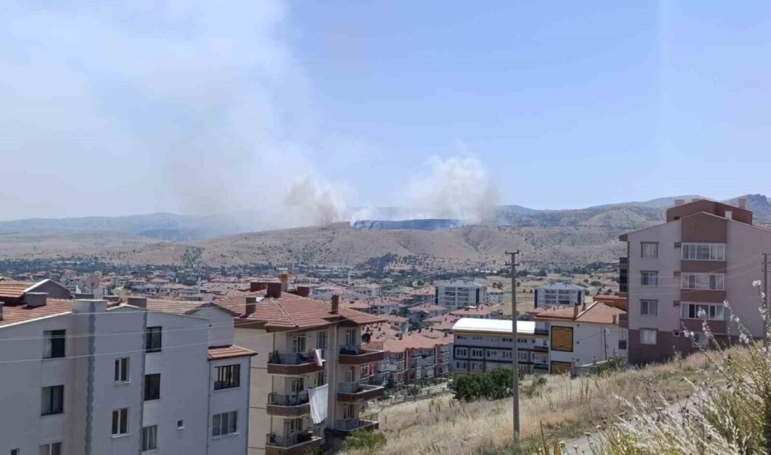 Afyonkarahisar kent merkezine bağlı Büyük Kalecik beldesi yakınlarında bulunan mera
