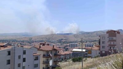 Afyonkarahisar kent merkezine bağlı Büyük Kalecik beldesi yakınlarında bulunan mera